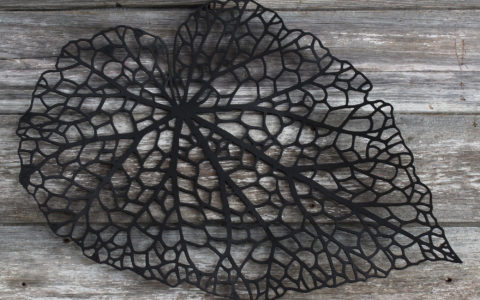 Leaf-dark-Walnut-eighthInch-4